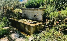 Petit coin de paradis avec jardin privé et piscine